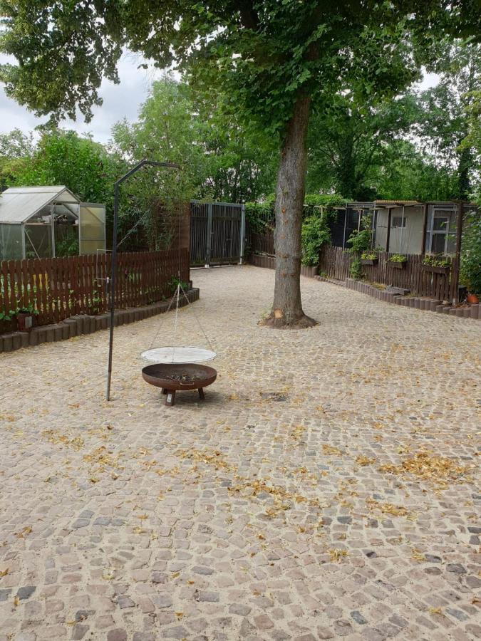 מגדבורג Ferienwohnung Lindenhof, Zentrumsnah Mit Terrasse Und Grillmoeglichkeit מראה חיצוני תמונה